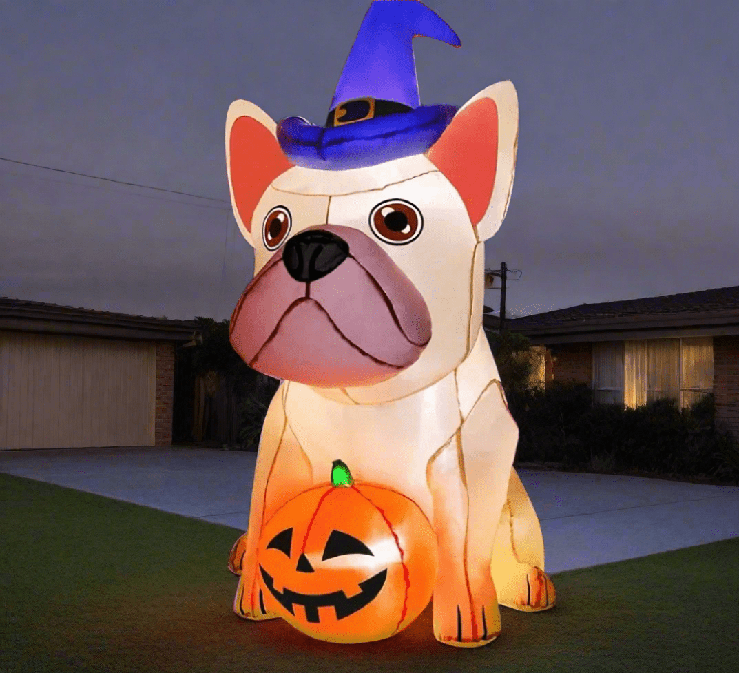 Huge Bulldog with Witches Hat Guarding his Pumpkin - 180cm