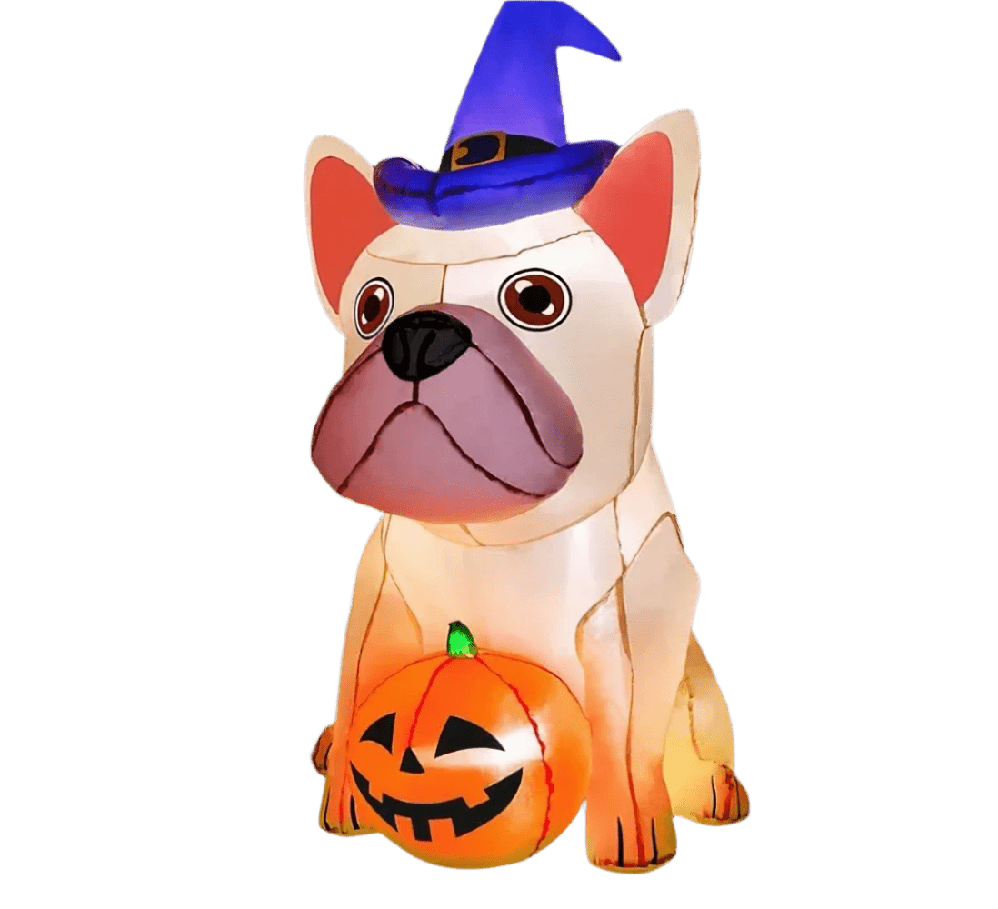 Huge Bulldog with Witches Hat Guarding his Pumpkin - 180cm