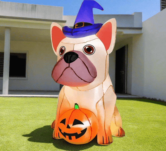 Huge Bulldog with Witches Hat Guarding his Pumpkin - 180cm